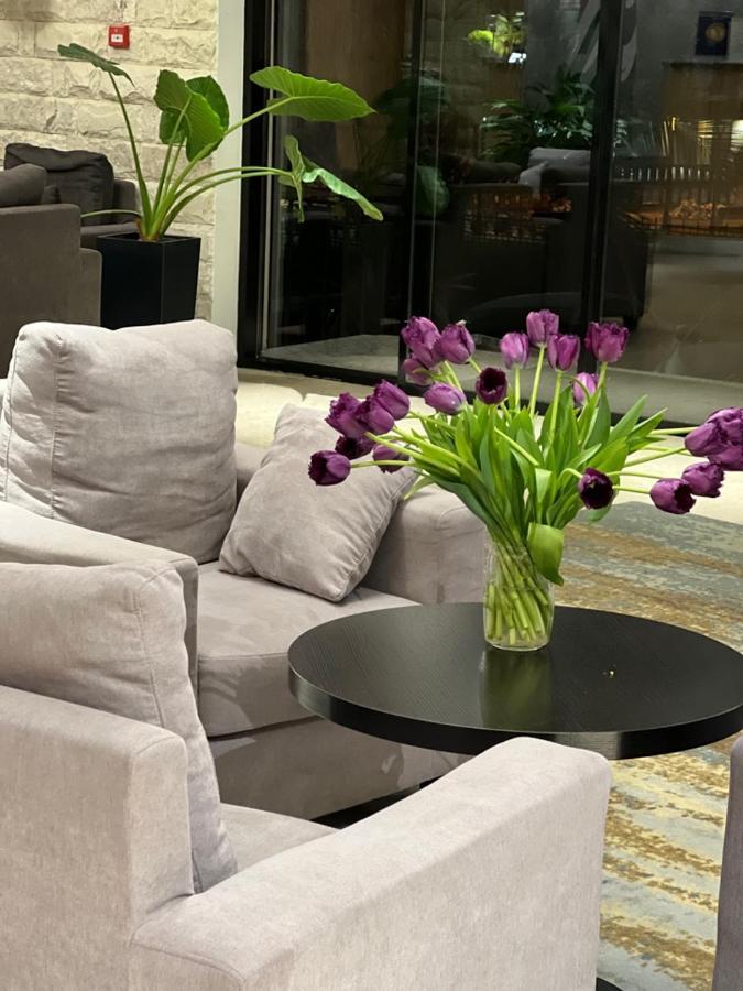 Abaash Hotel Afon New Athos Εξωτερικό φωτογραφία